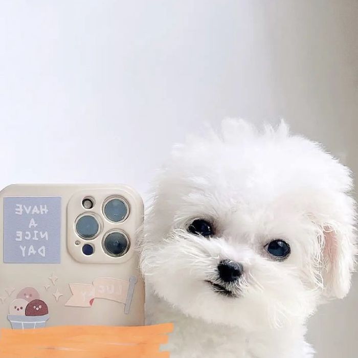 profile cover