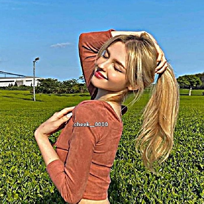 profile cover