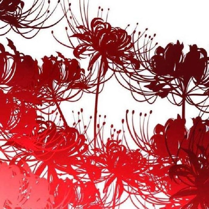 profile cover