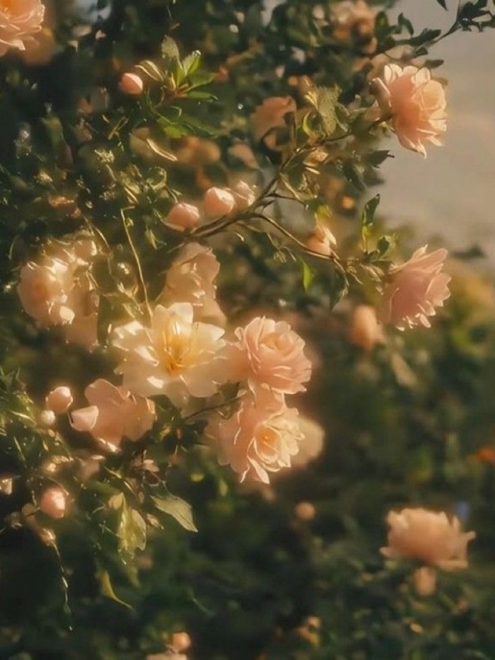 story-img
