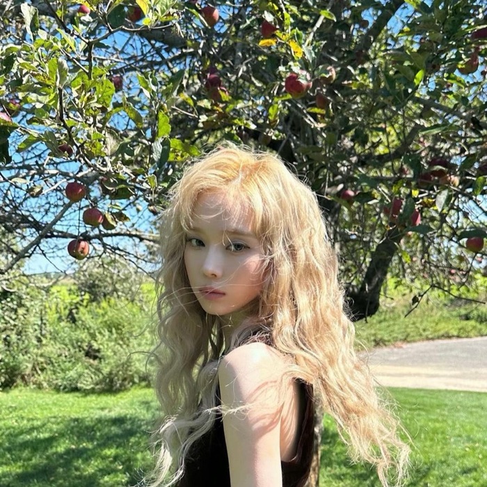 profile cover