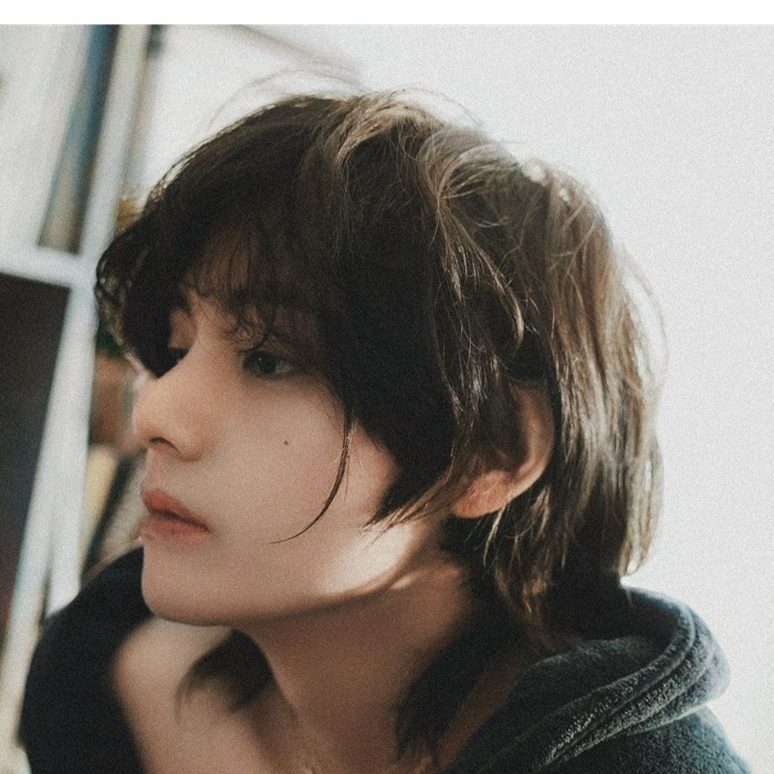 profile cover
