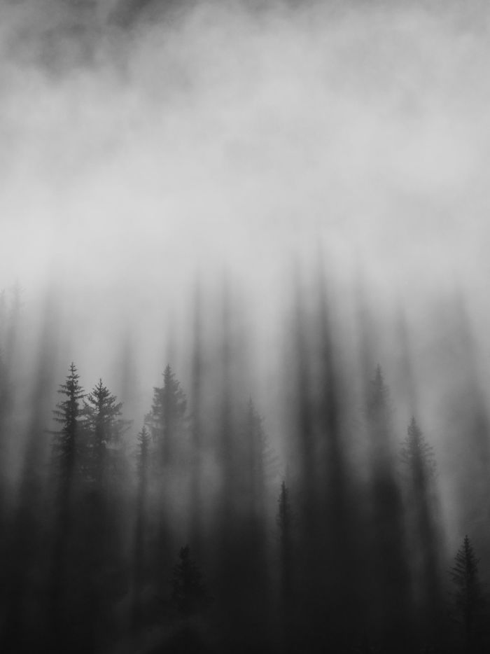 story-img
