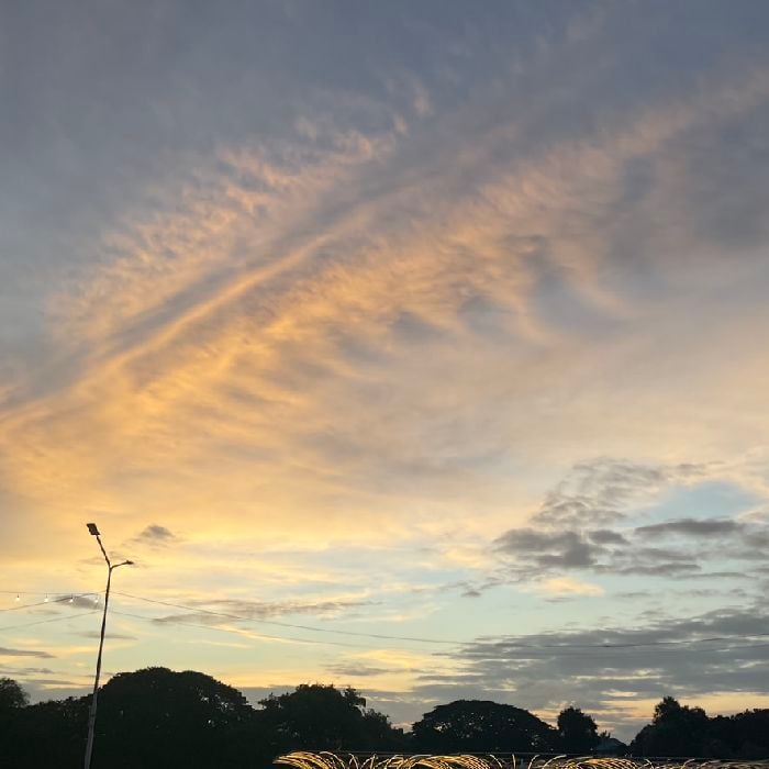 profile cover