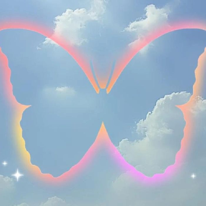 profile cover