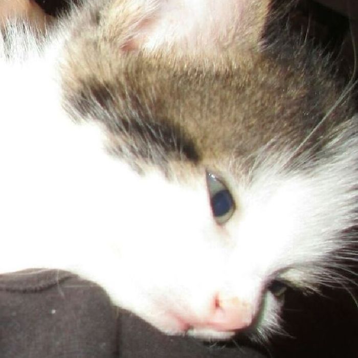 profile-image