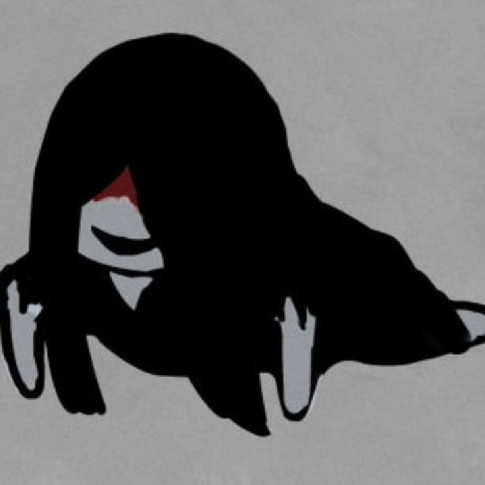 profile cover