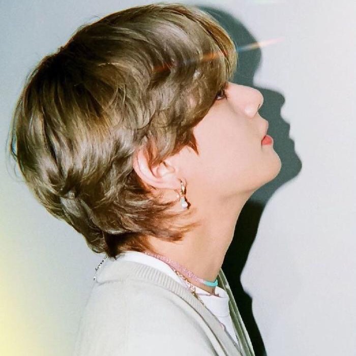 profile cover
