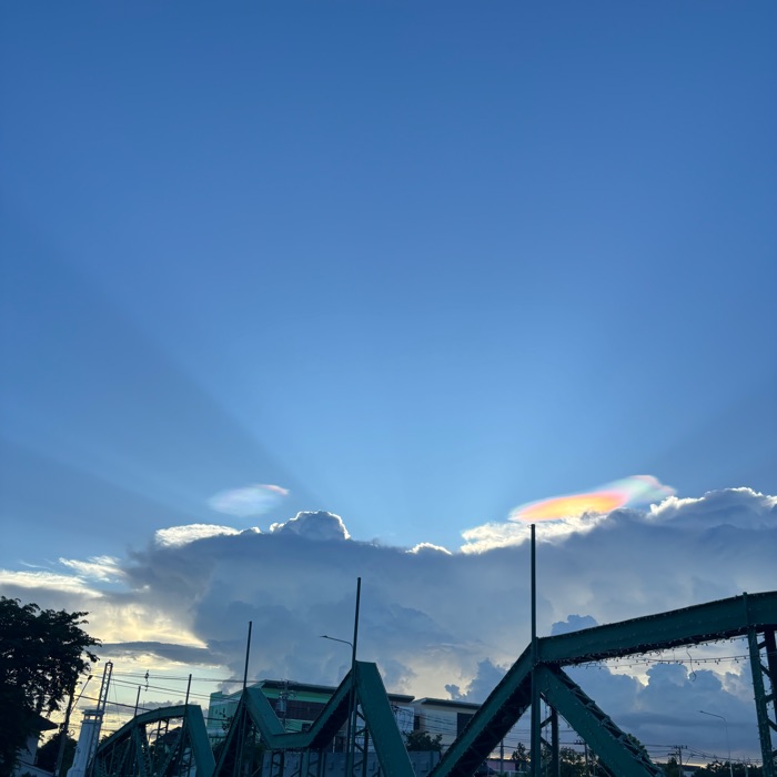 profile cover