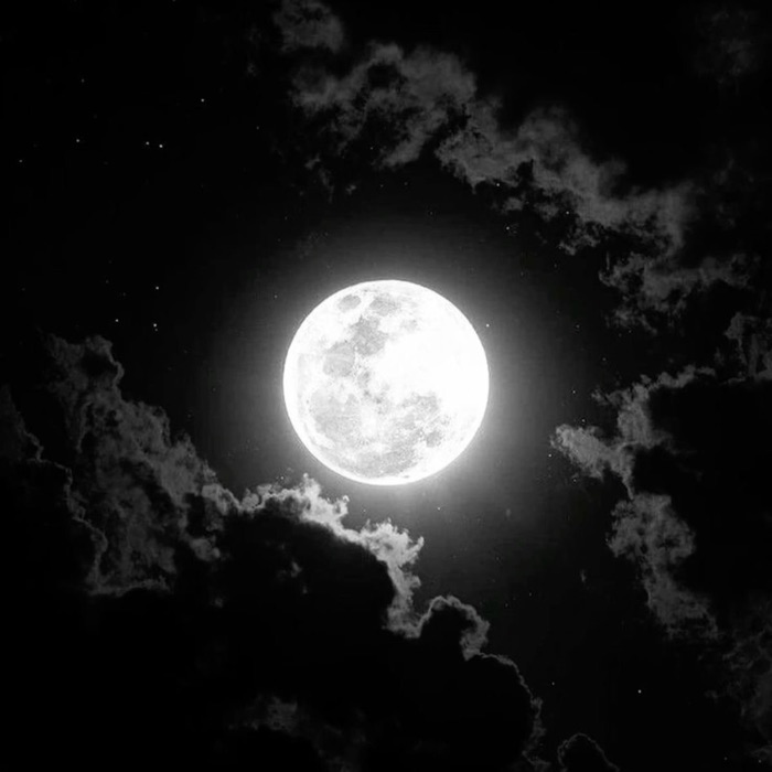 profile cover