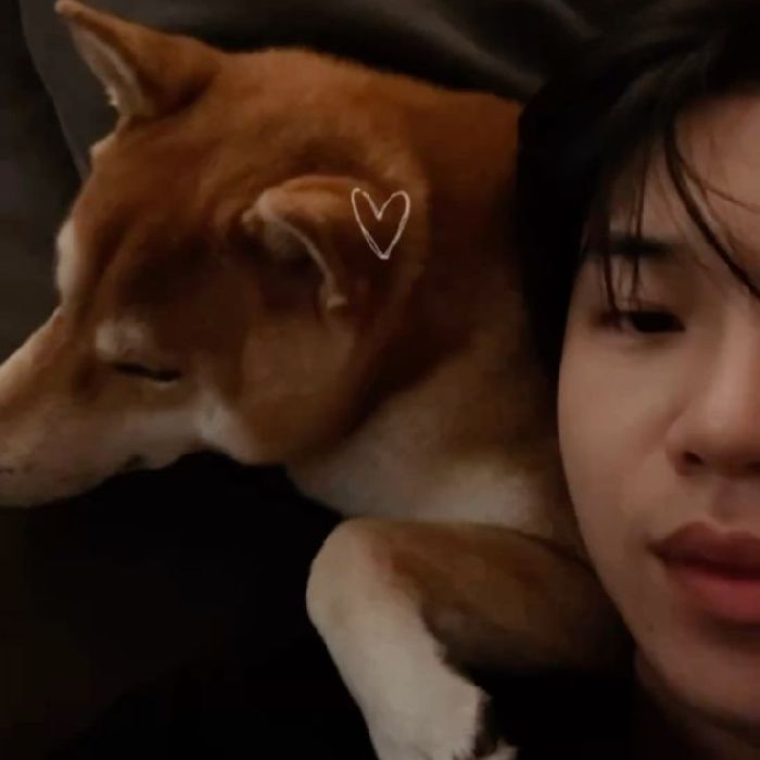 profile cover