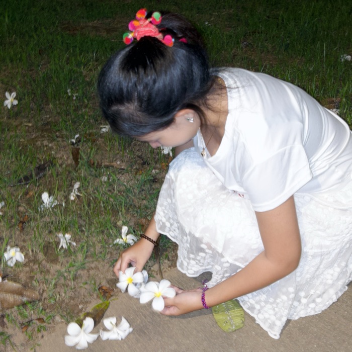 profile cover