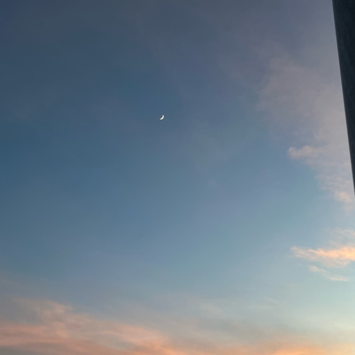 profile cover