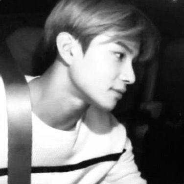 profile cover