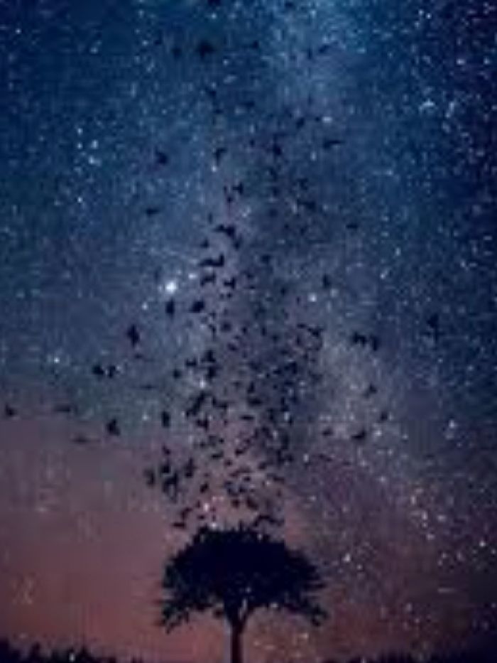 story-img
