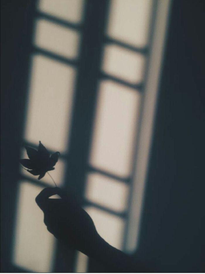 story-img