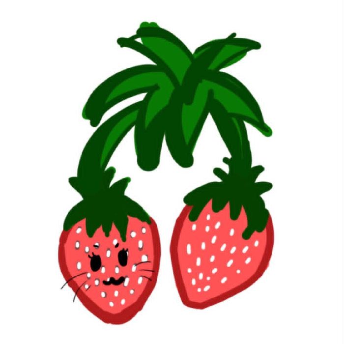 profile cover