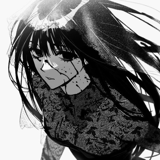 profile cover