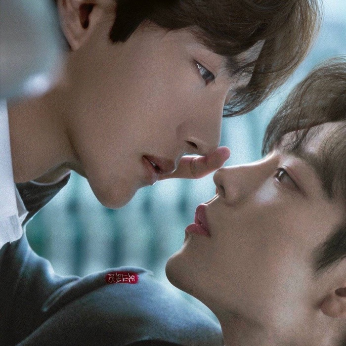 profile cover