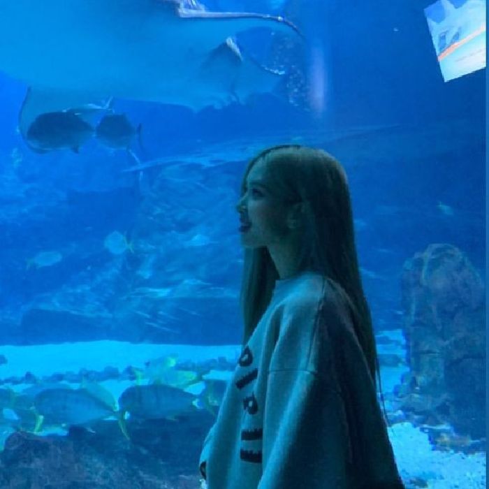 profile cover