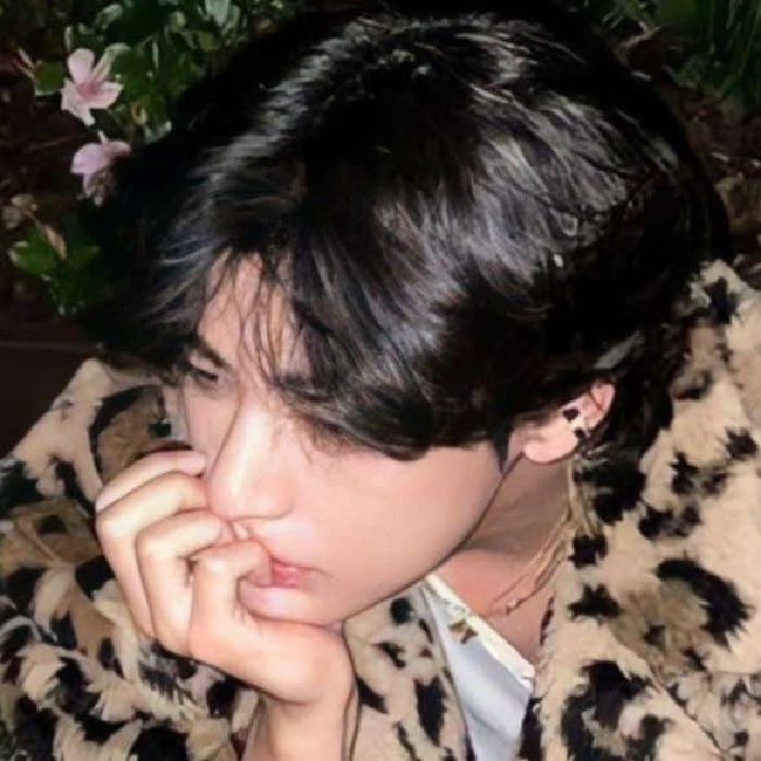 profile cover