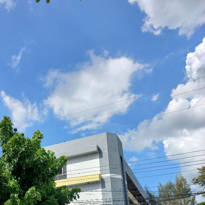 profile cover