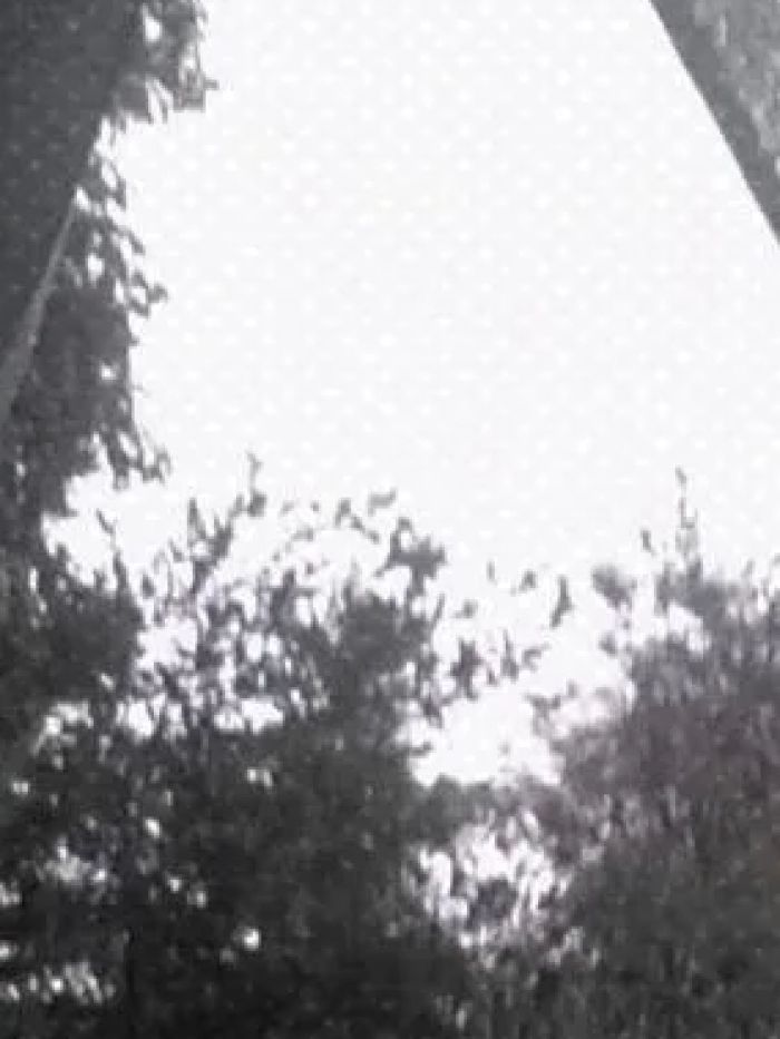 story-img