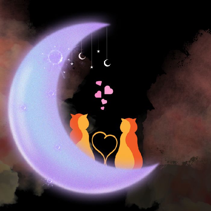 profile cover