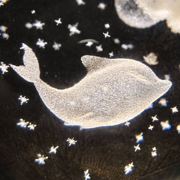 profile cover