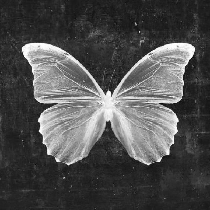 profile cover