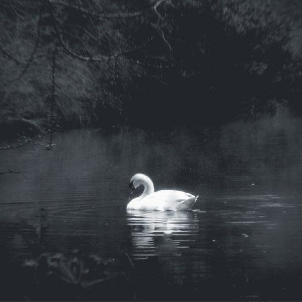 profile cover
