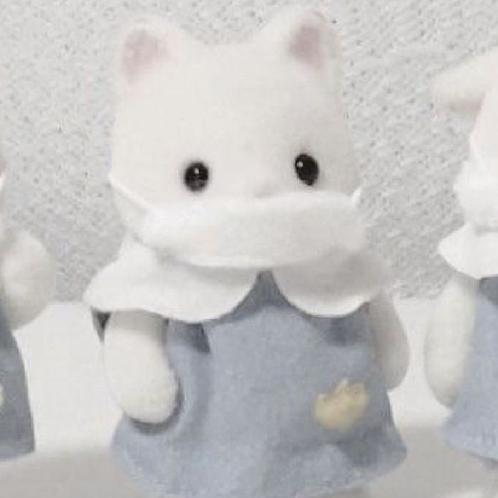 profile cover