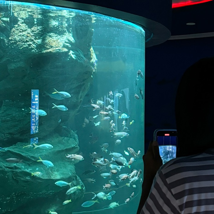 profile cover