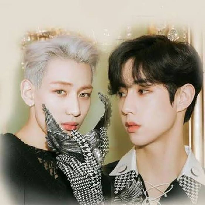 profile cover