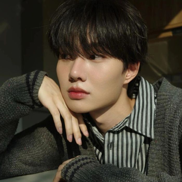profile-image