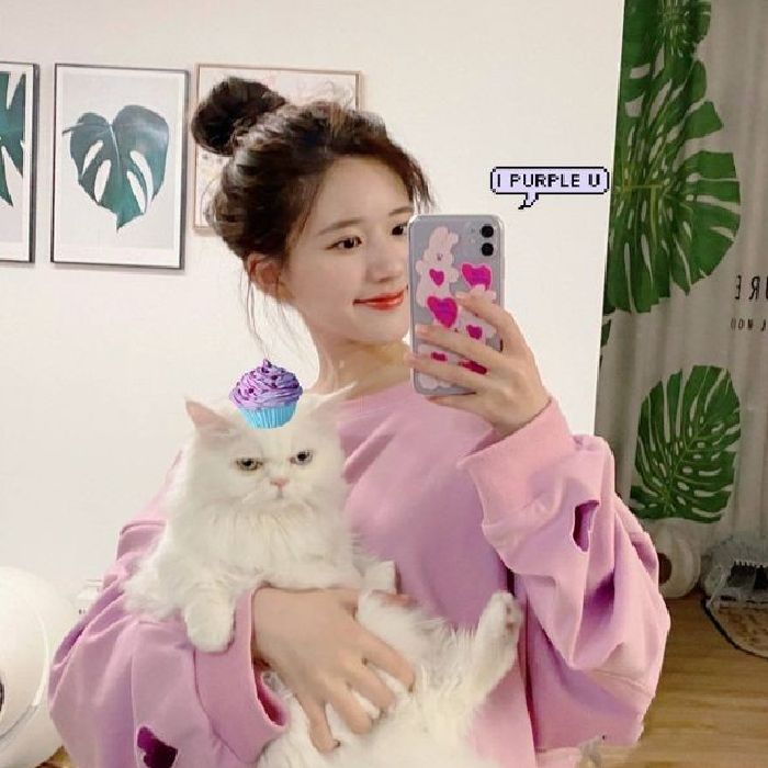 profile cover