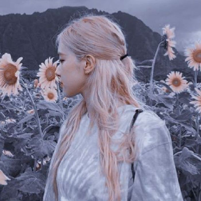 profile cover