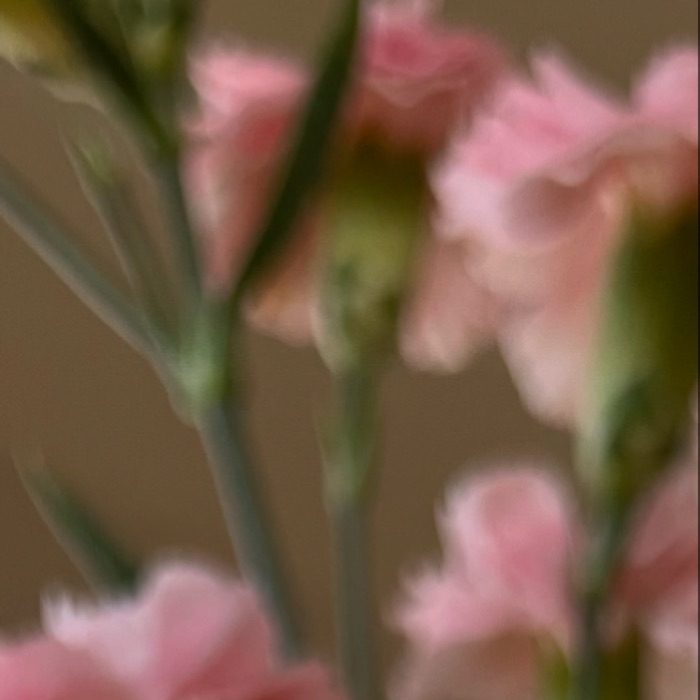profile cover