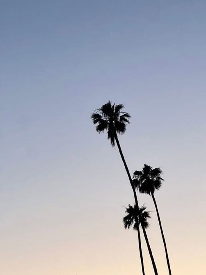 story-img