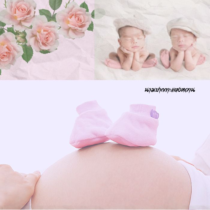profile cover