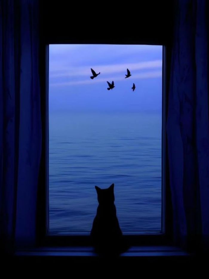 story-img
