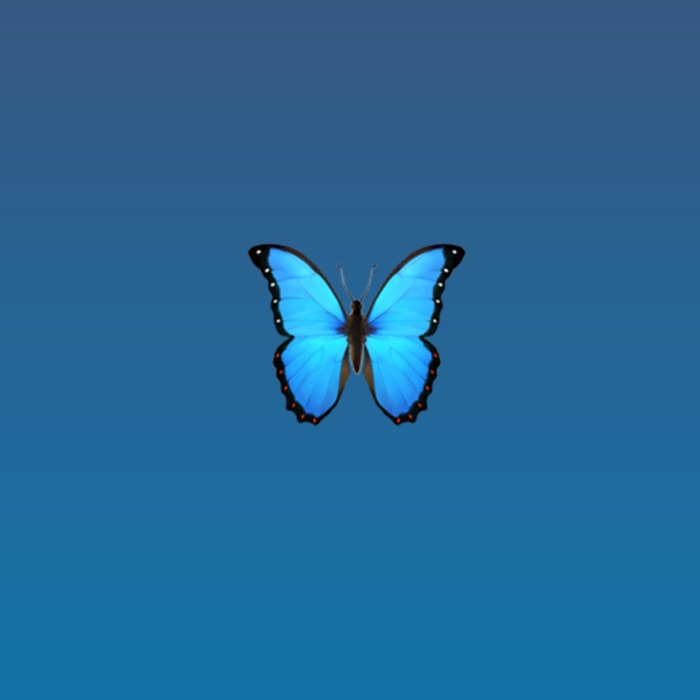 profile cover