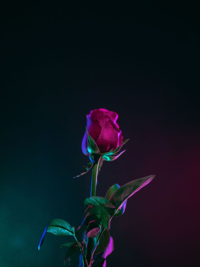 story-img