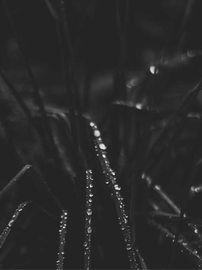 story-img