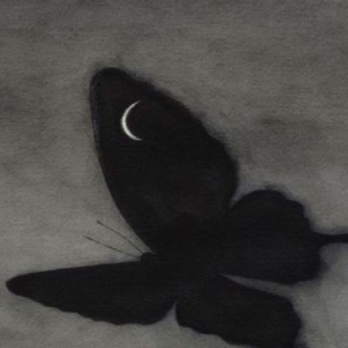 profile cover