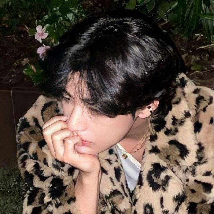 profile cover