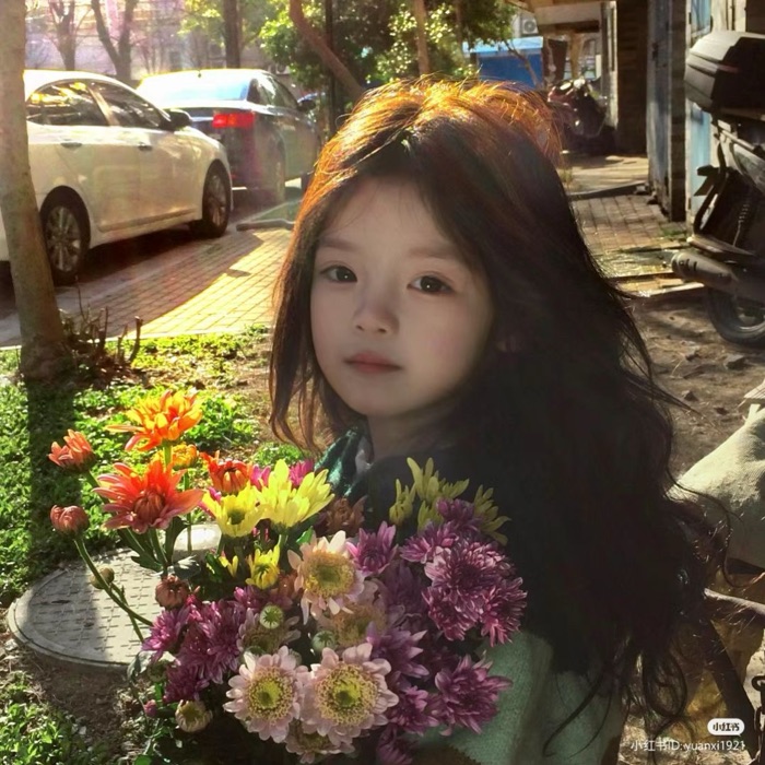 profile cover