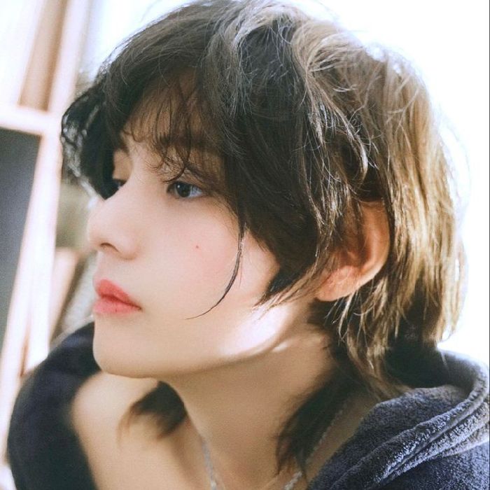 profile cover