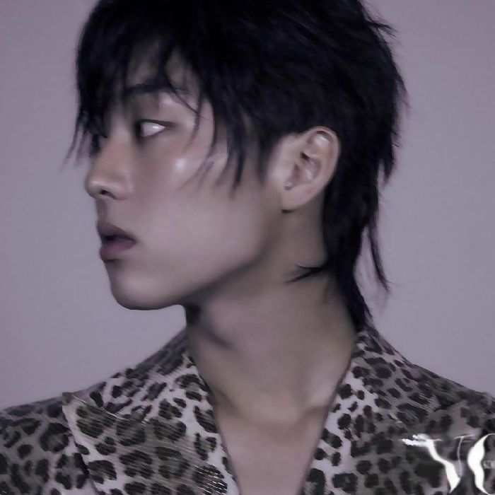 profile cover
