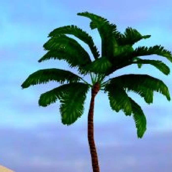 profile cover